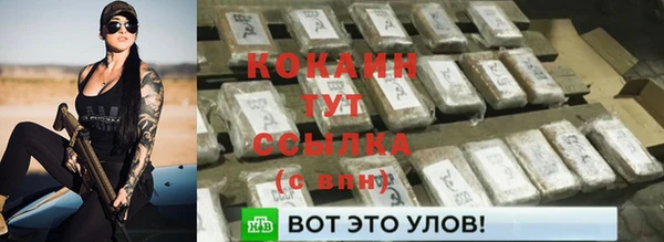 прущие грибы Богданович