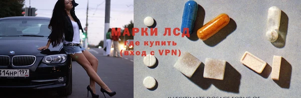 прущие грибы Богородск