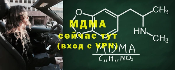 прущие грибы Аркадак