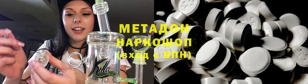 прущие грибы Аркадак