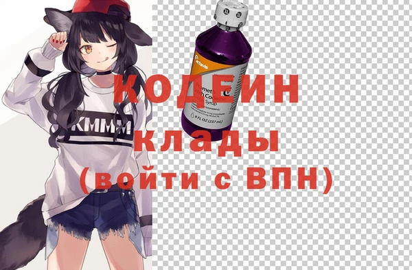 прущие грибы Аркадак
