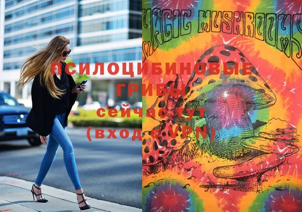 PSILOCYBIN Богородицк