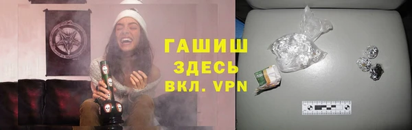 прущие грибы Богданович