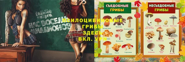 PSILOCYBIN Богородицк