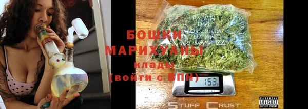 PSILOCYBIN Богородицк