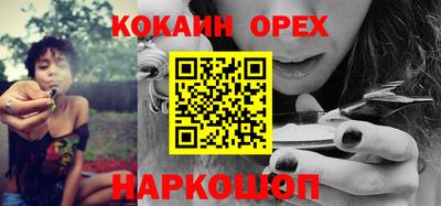 гашик Дубна