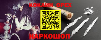 гашик Дубна