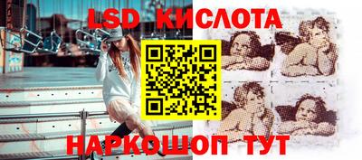гашик Дубна
