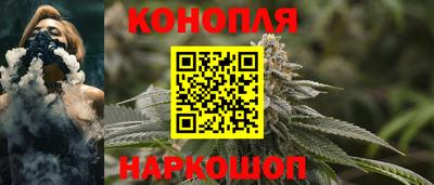 гашик Дубна