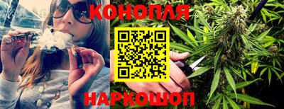 гашик Дубна