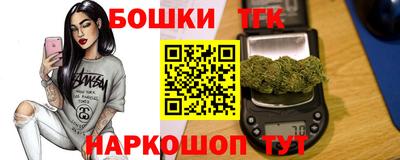 гашик Дубна